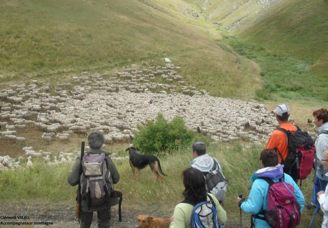 Randonnées à raquettes dans la vallée de la Blanche à Montclar avec Clément Vieau - Rand'O Canyon